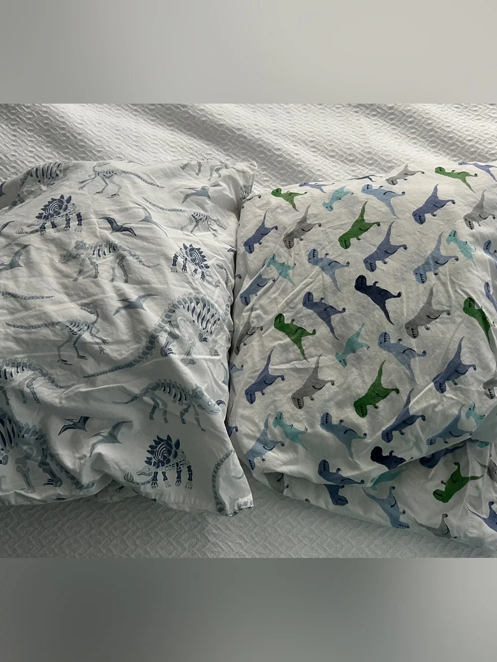 2 Pottery Barn Kids Dinosaur Sheet Sets